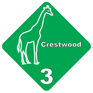 CW3 Giraffe